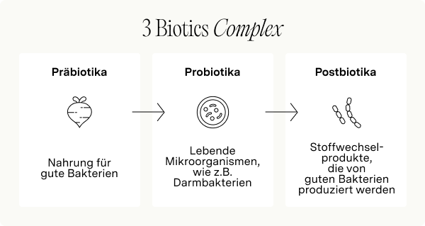 Infografik zur Erklärung von Prä-, Pro- und Postbiotika