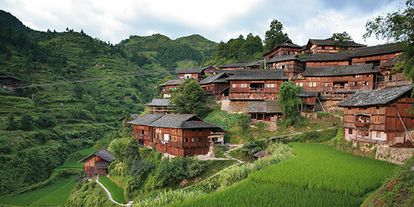 Herstellung von Bio-Chlorella in Asien