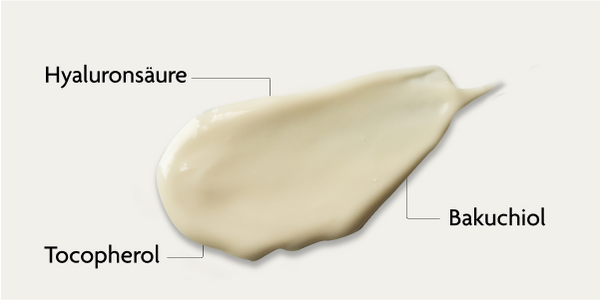 Anti-Aging-Wirkstoffe der Nachtcreme