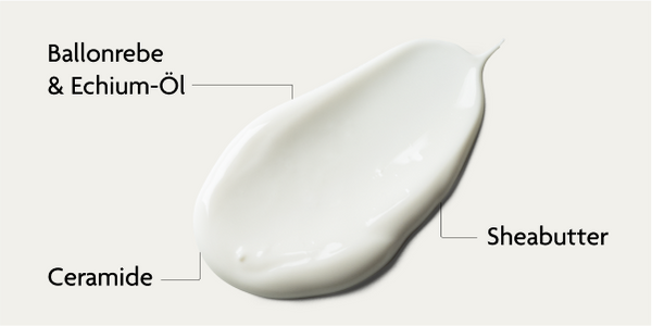 SKINTIST CLEAR Feuchtigkeitscreme - Wirkstoffe