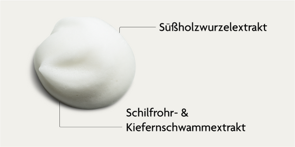 SKINTIST CLEAR Waschschaum - Wirkstoffe