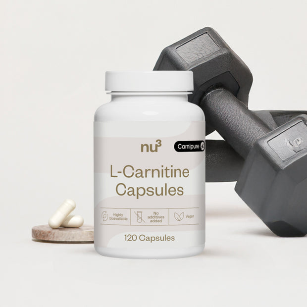 nu3 L-Carnitin Kapseln
